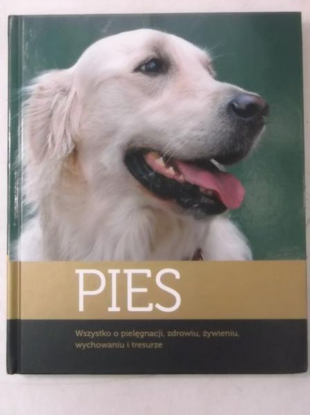 Dobrzyński Artur - Pies