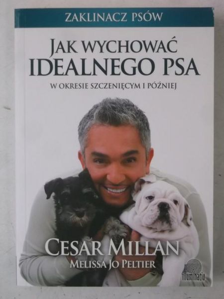 Jak wychować idealnego psa