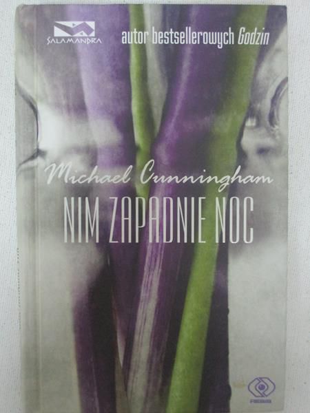 Cunningham Michael - Nim zapadnie noc