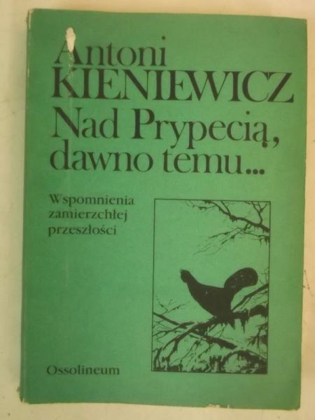 Nad Prypecią, dawno temu