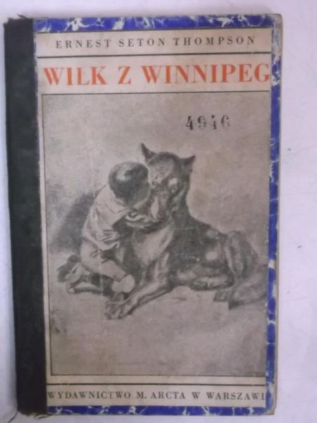 Wilk z Winnipeg