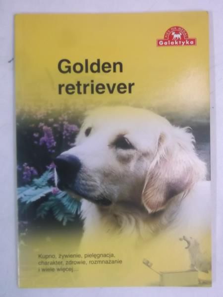 Golden retriever