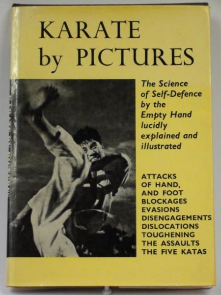 Karate by Pictures