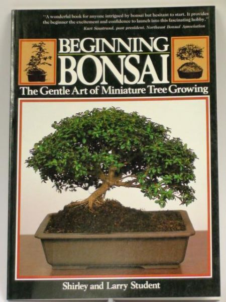 Beginning Bonsai