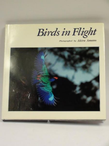 Birds in Flight