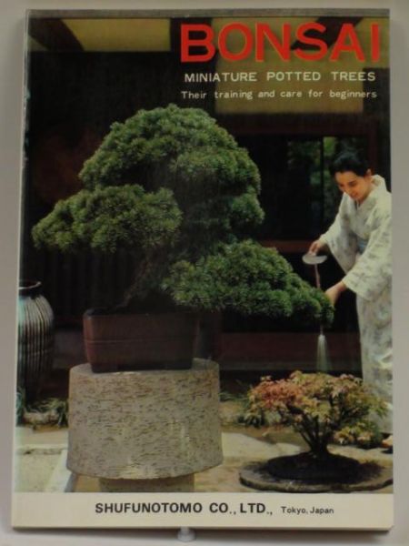 Bonsai. Miniature Potted Trees