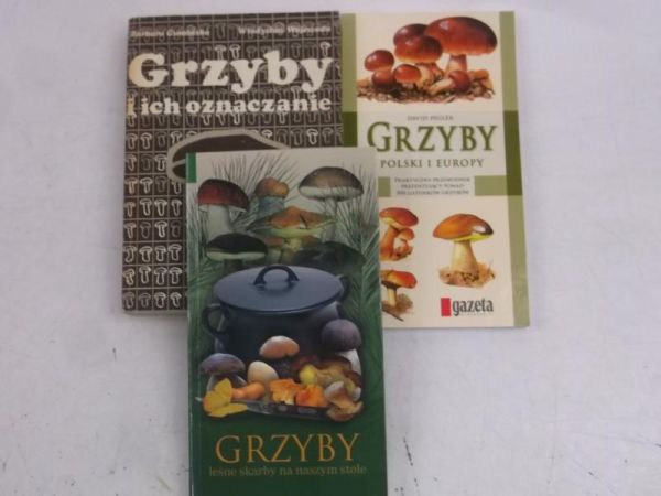 Grzyby