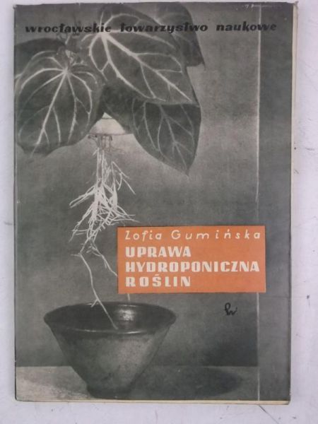 Uprawa hydroponiczna roślin