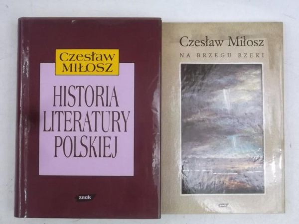 Na brzegu rzeki / Historia literatury polskiej