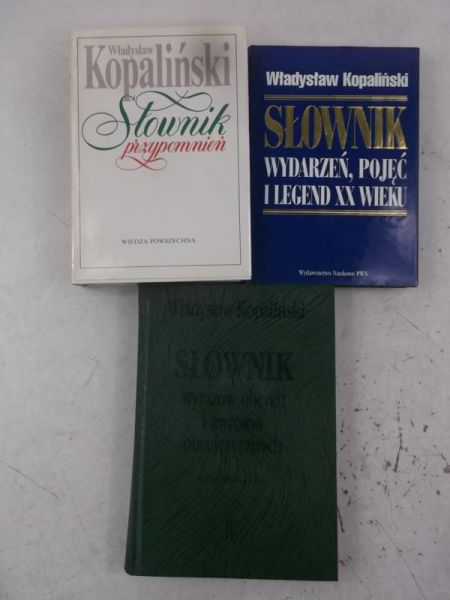 Zestaw 3 słowników