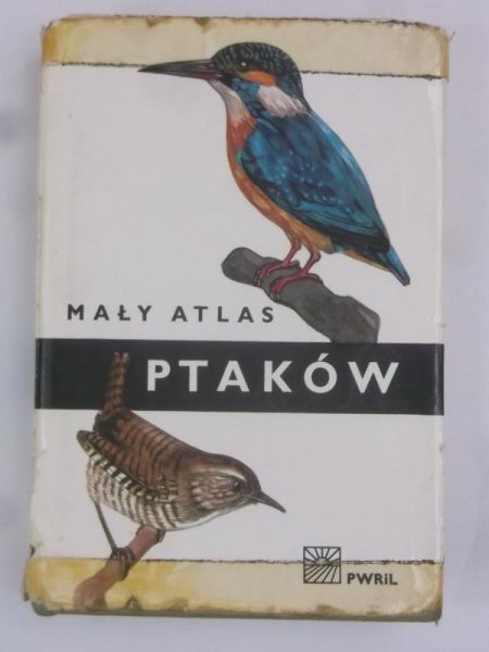 Mały atlas ptaków