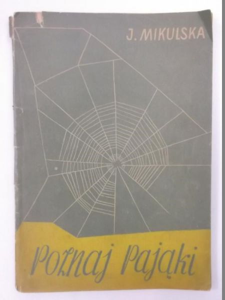 Poznaj pająki