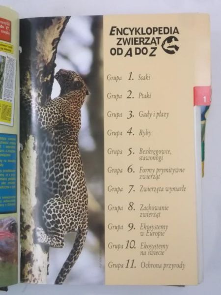 Encyklopedia zwierząt od A do Z