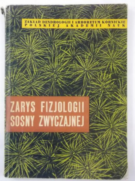 Zarys fizjologii sosny zwyczajnej