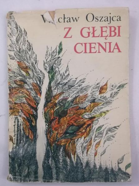 Z głębi cienia