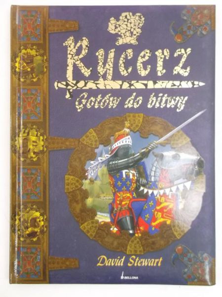 Rycerz. Gotów do bitwy