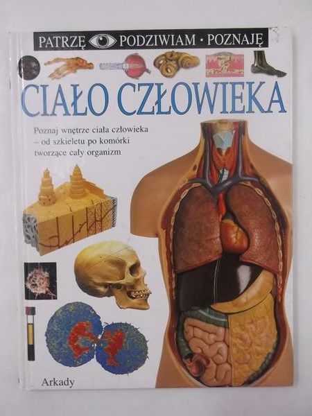 Ciało człowieka