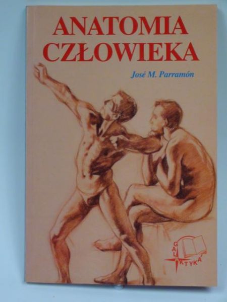 Anatomia człowieka