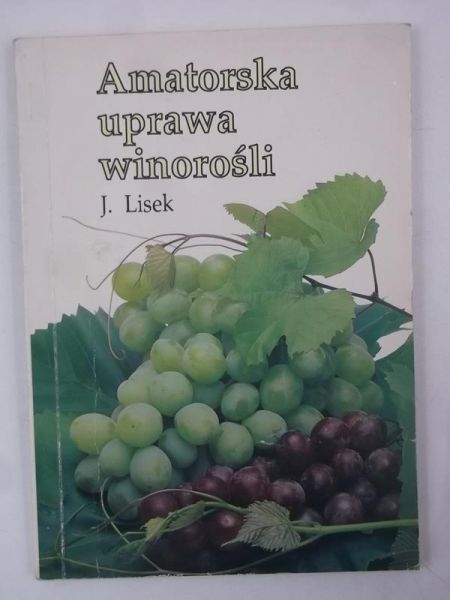 Amatorska uprawa winorośli