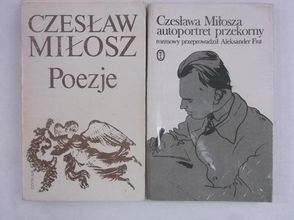 Poezje / a a autoportret przekorny