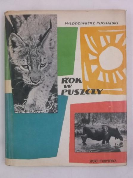 Rok w puszczy