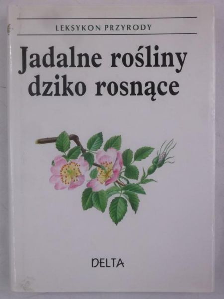 Lanska Dagmar - Jadalne rośliny dziko rosnące