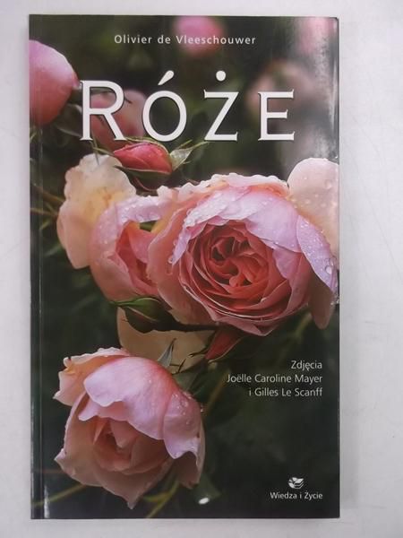 Róże