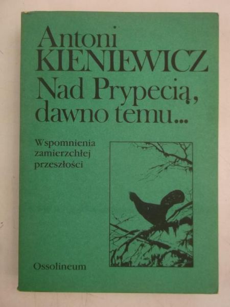 Nad Prypecją, dawno temu…