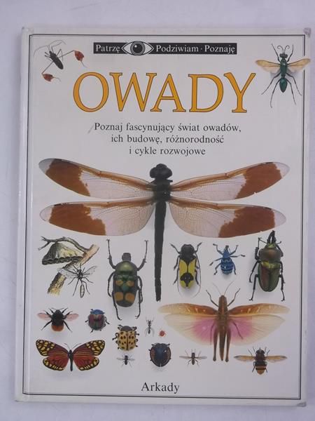 Owady