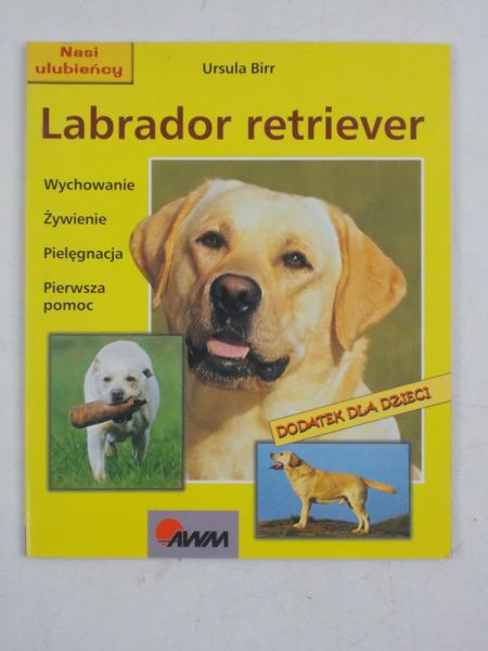 Birr Ursula - Labrador retriever