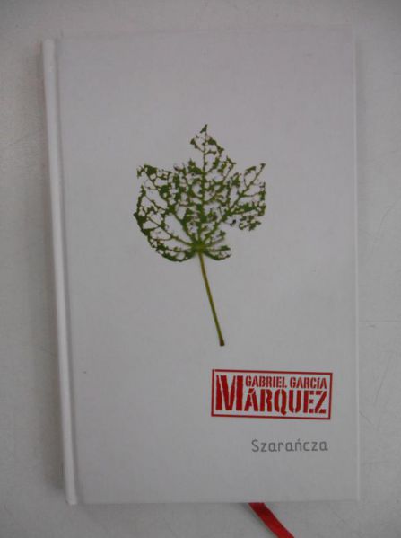 Szarańcza