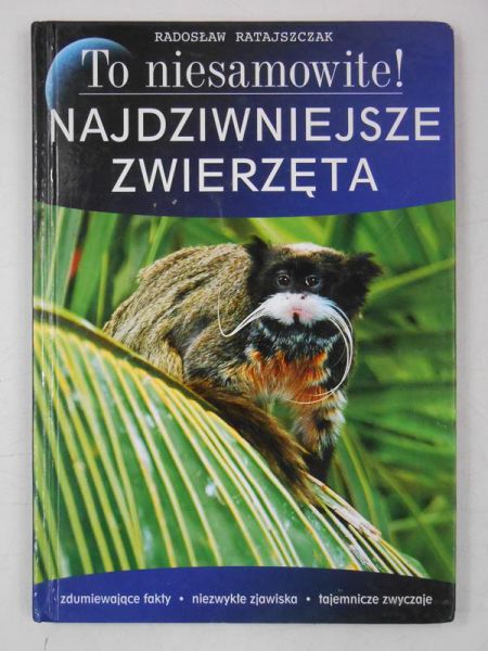Najdziwniejsze zwierzęta. To niesamowite!
