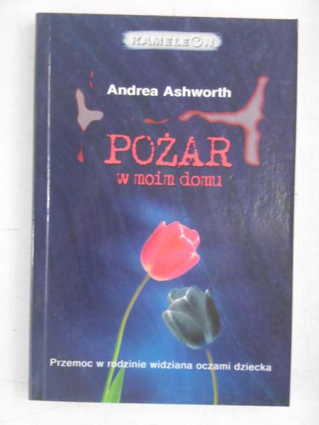 Ashworth Andrea - Pożar w moim domu