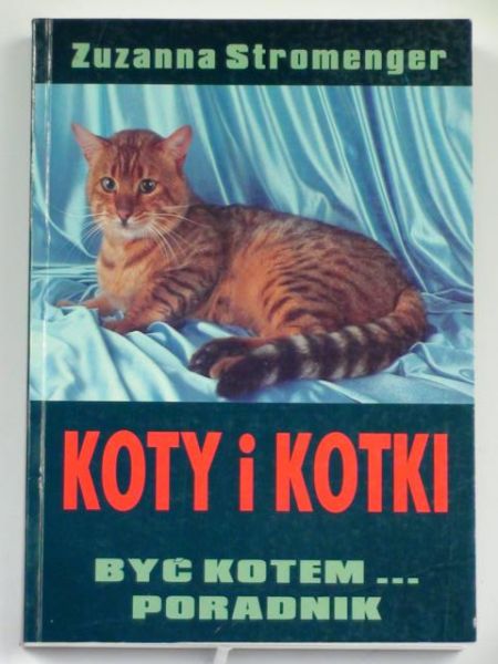 Koty i kotki