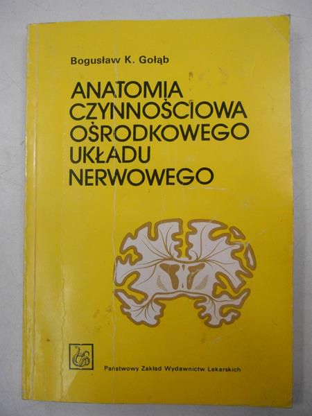 Anatomia czynnościowa ośrodkowego układu nerwowego