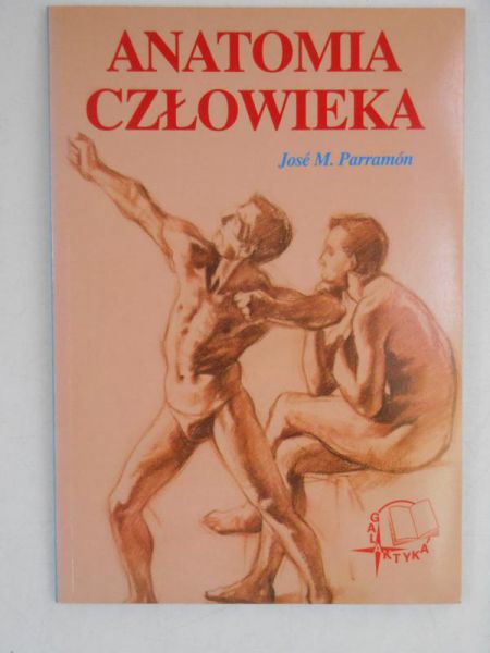 Anatomia człowieka