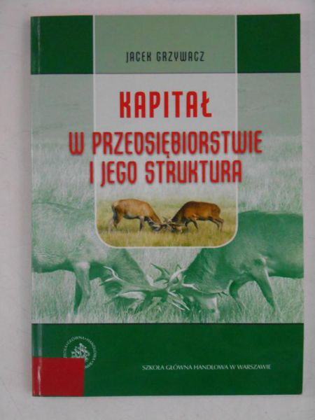 Kapitał w przedsiębiorstwie i jego struktura