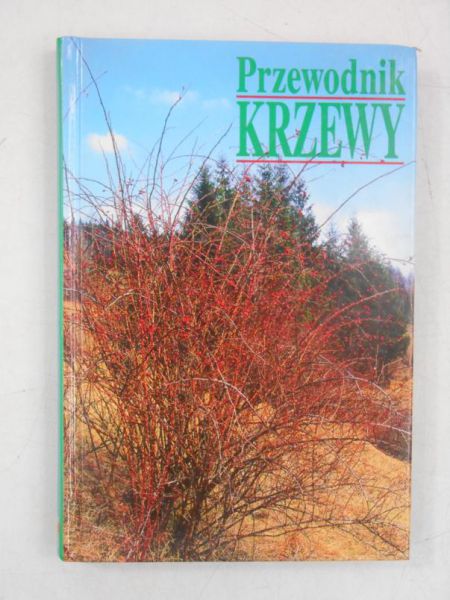 Przewodnik: Krzewy