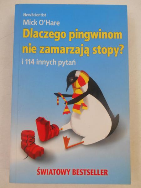 Dlaczego pingwinom nie zamarzają stopy?