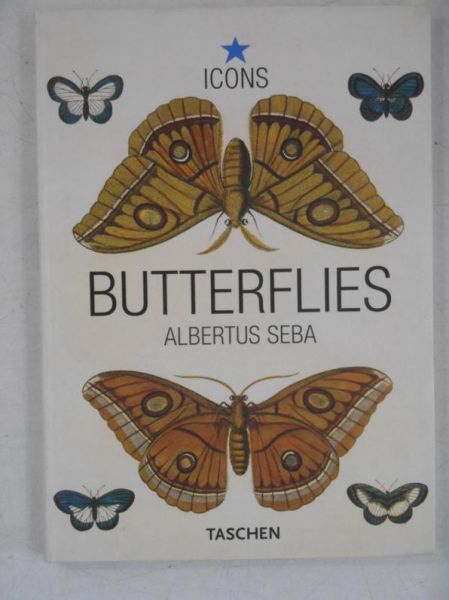 Butterflies & Insects