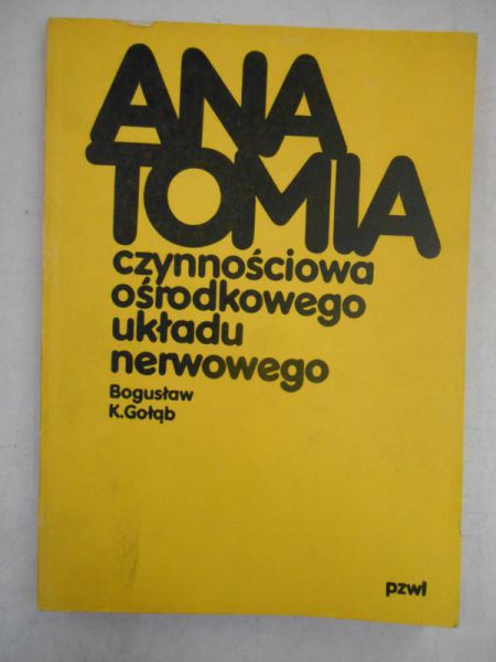 Anatomia czynnościowa ośrodkowego układu nerwowego