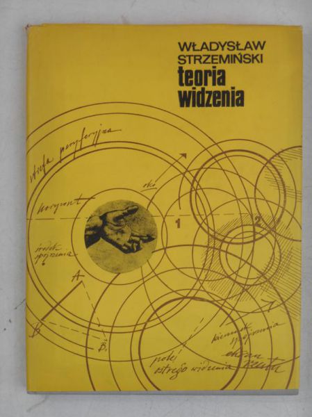 Teoria widzenia