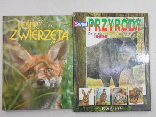 Leśne zwierzęta \ Zwierzęta leśne