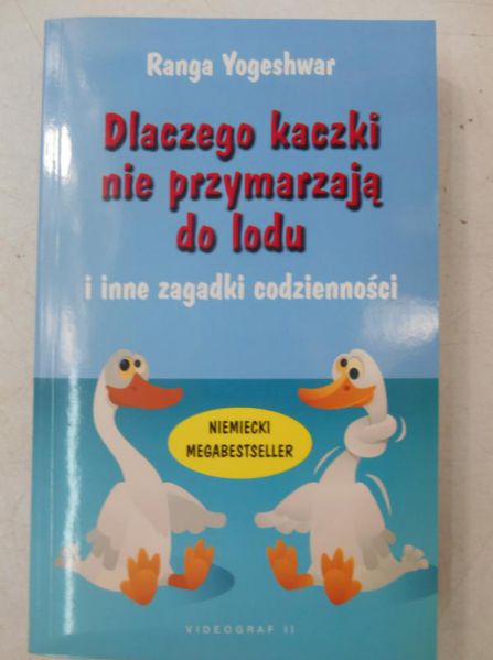 Dlaczego kaczki nie przymarzają do lodu