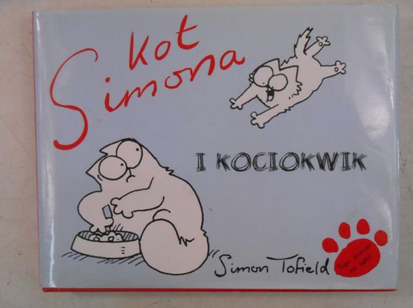 Kot a i kociokwik