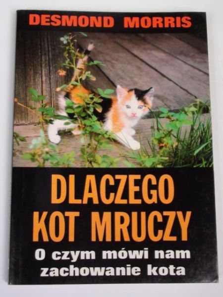 Dlaczego kot mruczy