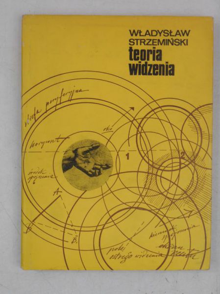 Teoria widzenia