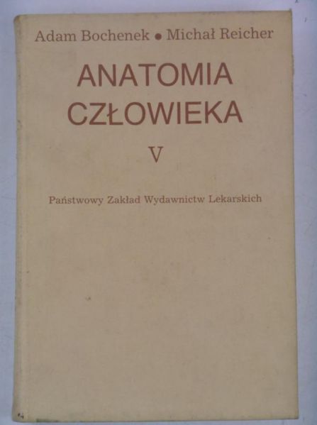 Anatomia człowieka Tom V