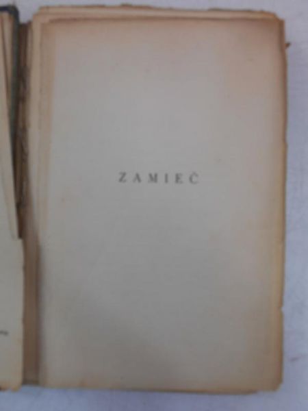 Zamieć, 1928 r.