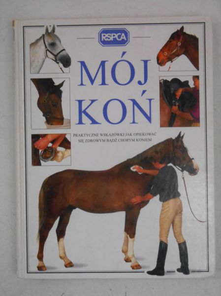 Mój koń